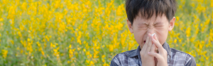 What is Hay Fever? (10 Best Hay Fever Relief Methods) 3 Hay Fever