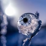 Frozen Ice Eye Art