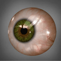 Senior Eye Exams Burnaby | Vision Changes After 65 & MSP Coverage 9 Eye diseases