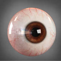 Senior Eye Exams Burnaby | Vision Changes After 65 & MSP Coverage 7 Eye diseases, comprehensive eye exams