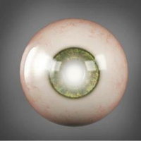 Senior Eye Exams Burnaby | Vision Changes After 65 & MSP Coverage 6 Glaucoma
