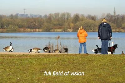 How Bad Is My Eye Prescription? Decoded in 3 Steps 5 full field of vision